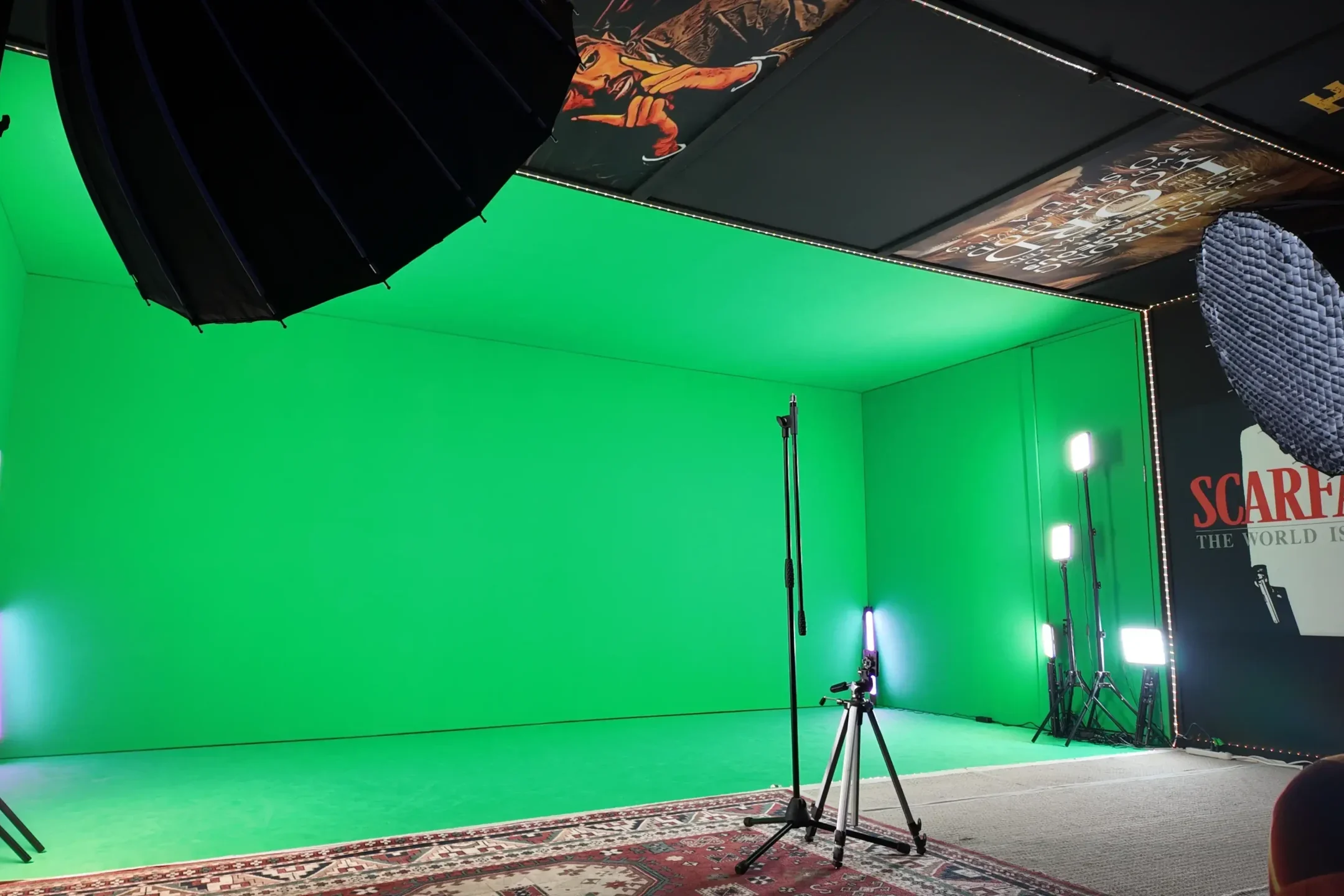dogfox studios green screen area